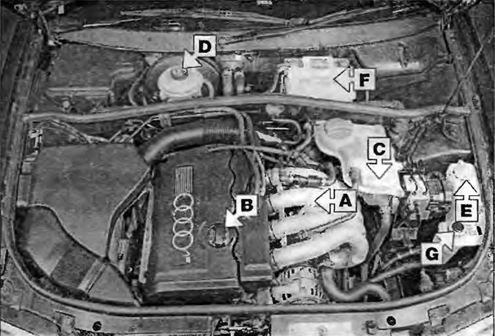 Места проверок под капотом (Ауди А4 Б5, 1994-2001 / Общая информация ...