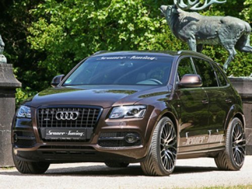 Помимо внешнего обвеса спортивности кроссоверу Audi Q5 придали благодаря заниженной подвеске. Таким…