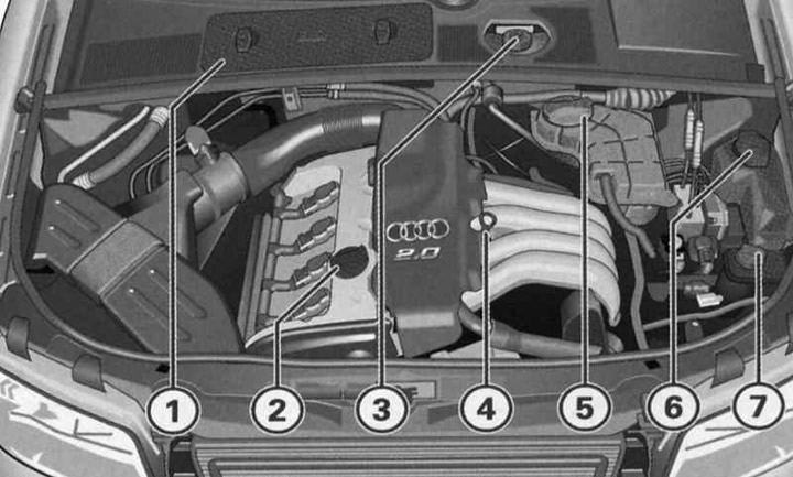 Расположение датчиков ауди а4 Бягучы догляд і абслугоўванне (Audi А4 Б6, 2000-2006 / Агульная інфармацыя / Тэх
