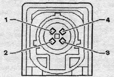 1. D (+).