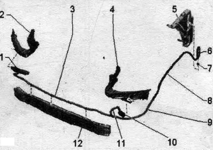 1. Dysza prawa.