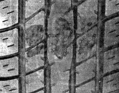 Tragovi kočenja sa blokiranim kotačem: sa sustavom protiv blokiranja kotača takva slika je nemoguća