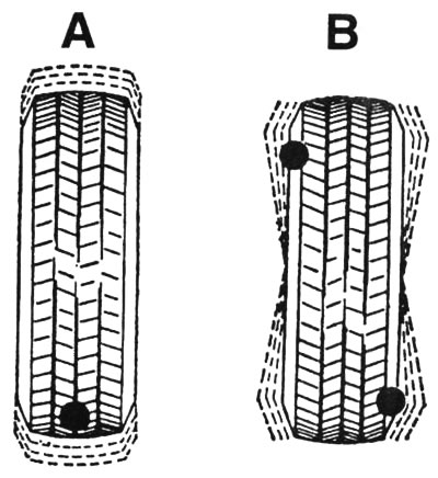 Neuravnoteženost kotača