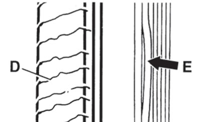 18.2b. Poprečne pukotine (D) na stražnjoj strani remena i raslojavanje rebara (E)
