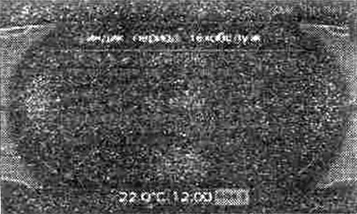 Дисплей: індикація періодичності.