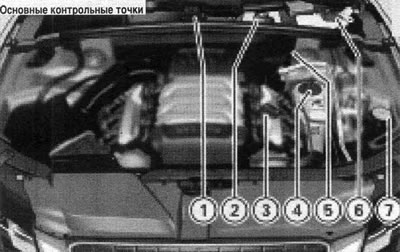 Основні контрольні точки.