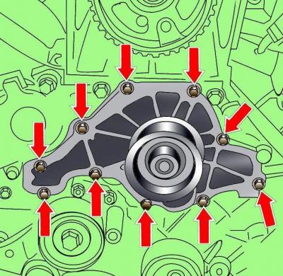 Fig. 7–24. Water pump and thermostat for vehicles with 3.3L diesel engines: 1 – bolt, 10 Nm; 2 –…
