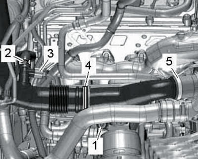 36.5. Connections of the left air tubes.