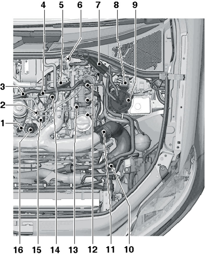 1.1c. Location of fuel system components in the left side of the engine compartment of 3.0L models…
