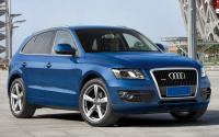 Audi Q5 Mk1 2008 din an